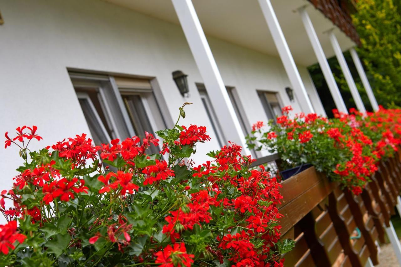Tannmuehle Hotel Und Restaurant Gmbh Callenberg Exterior photo